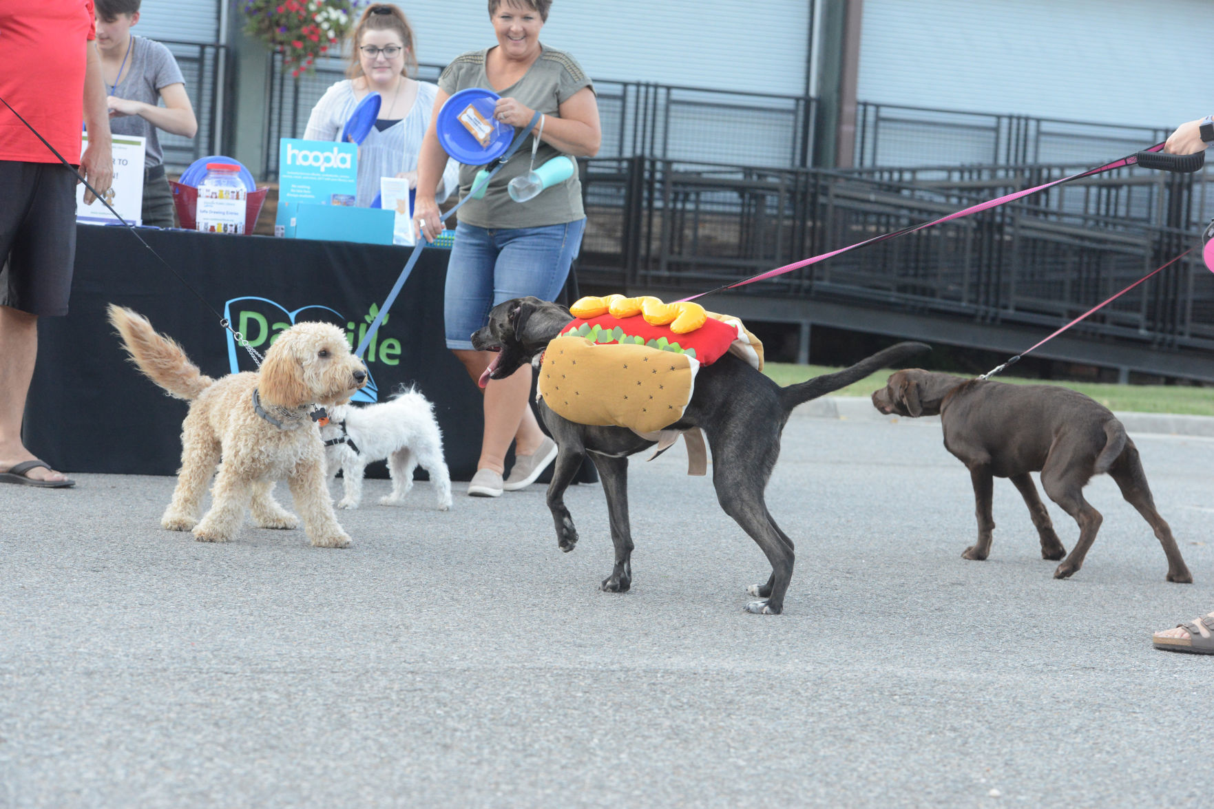 Barktober in Danville